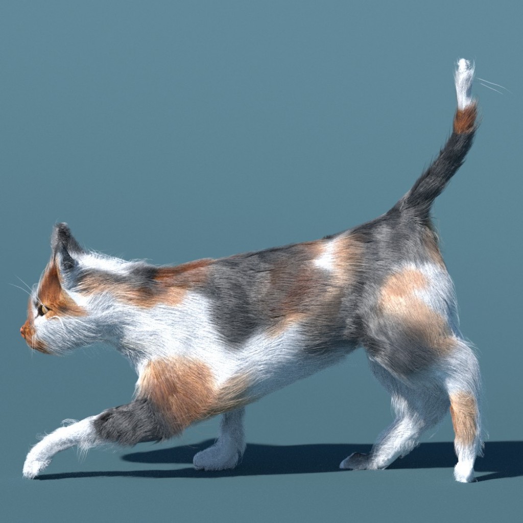 Rigged and animated Cat preview image 1
